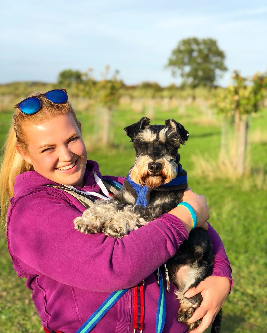 It’s a Dog’s Life A FirstClass Dog Day Care St Albans